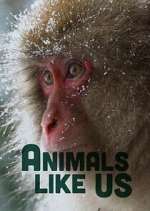 Watch Animals Like Us Watch123movies