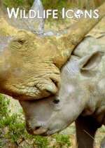 Watch Wildlife Icons Watch123movies