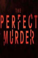 Watch The Perfect Murder Watch123movies