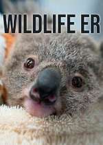 Watch Wildlife ER Watch123movies
