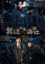 Watch Winter Begonia Watch123movies