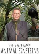 Watch Chris Packham's Animal Einsteins Watch123movies