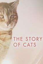 Watch The Story of Cats Watch123movies