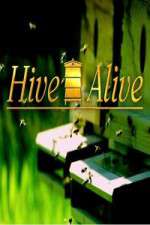 Watch Hive Alive Watch123movies