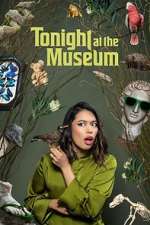 Watch Tonight At The Museum Watch123movies
