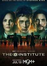 the institute tv poster