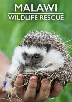 Watch Malawi Wildlife Rescue Watch123movies