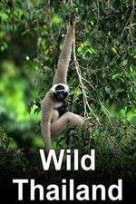 Watch Wild Thailand Watch123movies