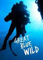 Watch Great Blue Wild Watch123movies