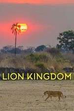 Watch Lion Kingdom Watch123movies