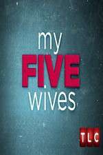 Watch My Five Wives Watch123movies