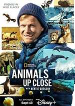Watch Animals Up Close with Bertie Gregory Watch123movies