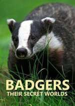 Watch Badgers: Their Secret Worlds Watch123movies