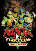 Watch Ninja Turtles: The Next Mutation Watch123movies