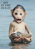 Watch Spy in the Ocean Watch123movies