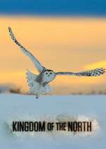 Watch Kingdom of the North Watch123movies