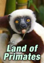 Watch Land of Primates Watch123movies