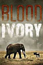 Watch Blood Ivory Watch123movies