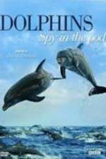 Watch Dolphins: Spy in the Pod Watch123movies