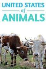 Watch United States of Animals Watch123movies