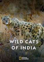 Watch Wild Cats of India Watch123movies