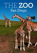 Watch The Zoo: San Diego Watch123movies