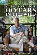 Watch Attenborough 60 Years in the Wild Watch123movies