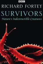 Watch Survivors: Nature's Indestructible Creatures Watch123movies