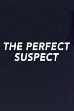 Watch The Perfect Suspect Watch123movies