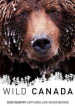 Watch Wild Canada Watch123movies