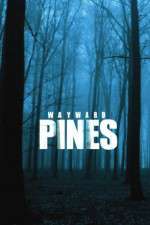 Watch Wayward Pines Watch123movies