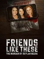 Watch Friends Like These: The Murder of Skylar Neese Watch123movies