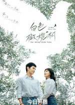 Watch The White Olive Tree Watch123movies