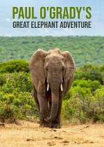 Watch Paul O'Grady's Great Elephant Adventure Watch123movies