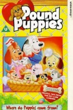 Watch Pound Puppies Watch123movies