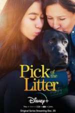 Watch Pick of the Litter Watch123movies