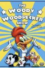 Watch The Woody Woodpecker Show Watch123movies