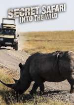 Watch Secret Safari: Into the Wild Watch123movies