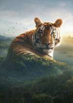 Watch Asia Watch123movies