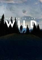Watch Called to the Wild Watch123movies
