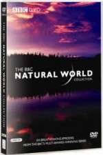 Watch The Natural World Watch123movies