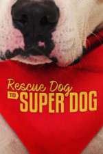 Watch Rescue Dog to Super Dog (US) Watch123movies