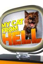Watch My Cat from Hell Watch123movies