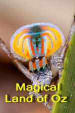 Watch Magical Land of Oz Watch123movies