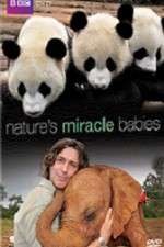 Watch Natures Miracle Babies Watch123movies