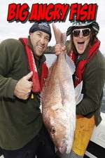 Watch Big Angry Fish Watch123movies