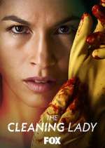 Watch The Cleaning Lady Watch123movies