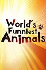 Watch The World\'s Funniest Animals Watch123movies