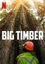 Watch Big Timber Watch123movies