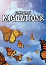 Watch Secret Migrations Watch123movies
